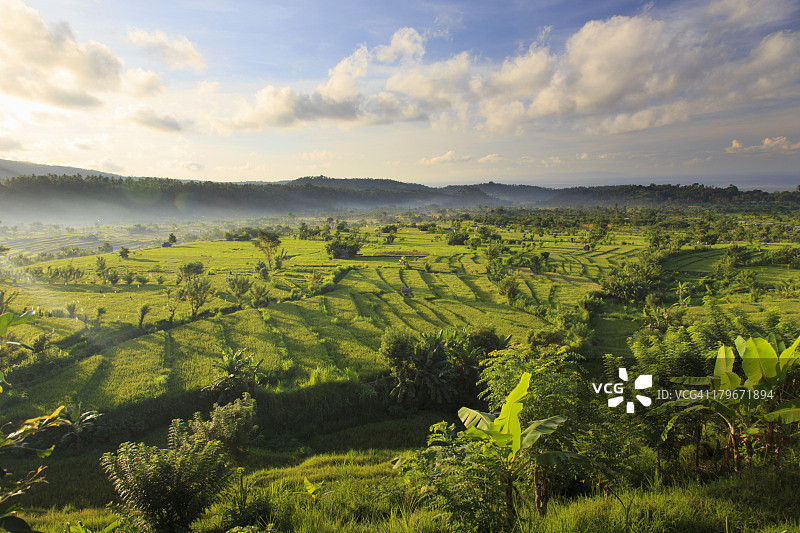 印度尼西亚巴厘岛稻田与火山图片素材