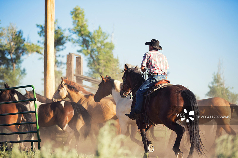 牧牛人赶马入围栏图片素材