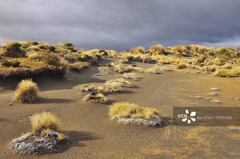 汤加里罗国家公园图片素材