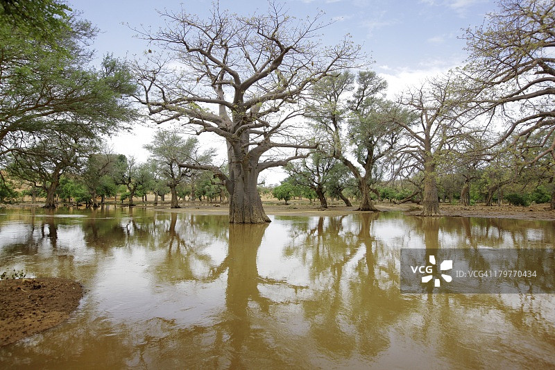 马里邦贾加拉悬崖下的多贡族村庄图片素材
