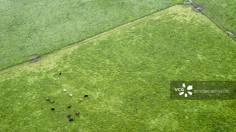 对毕达哥拉斯不以为然图片素材