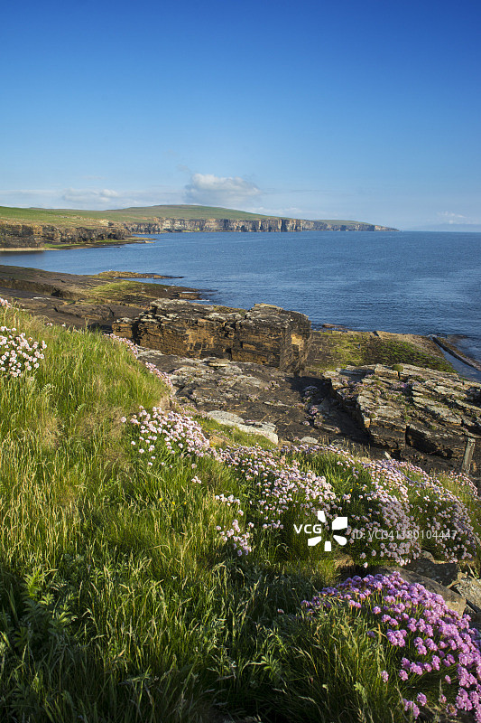 北方夏日风光图片素材