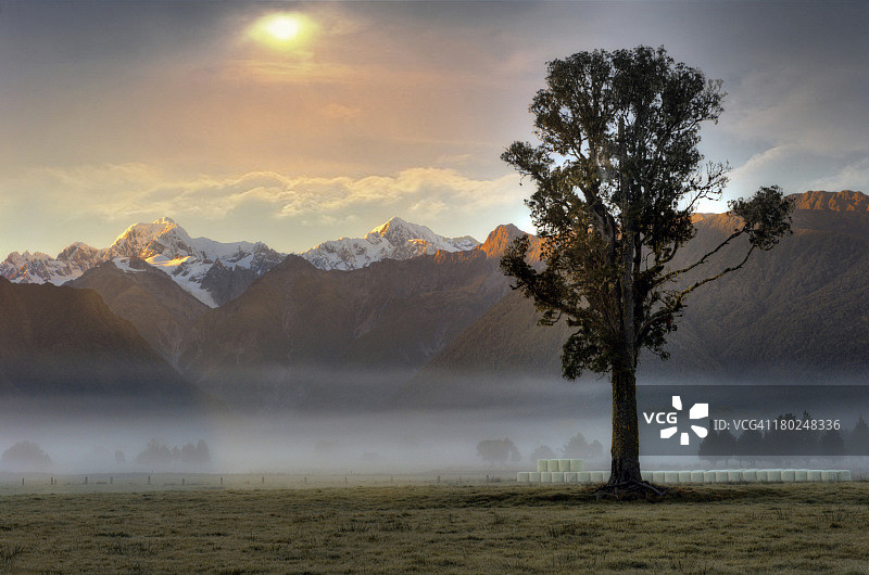 早晨的雾图片素材