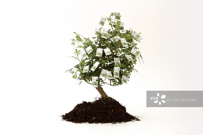 树上生长的欧元纸币图片素材