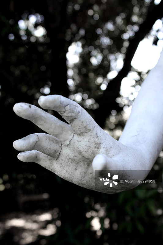 天使之手图片素材