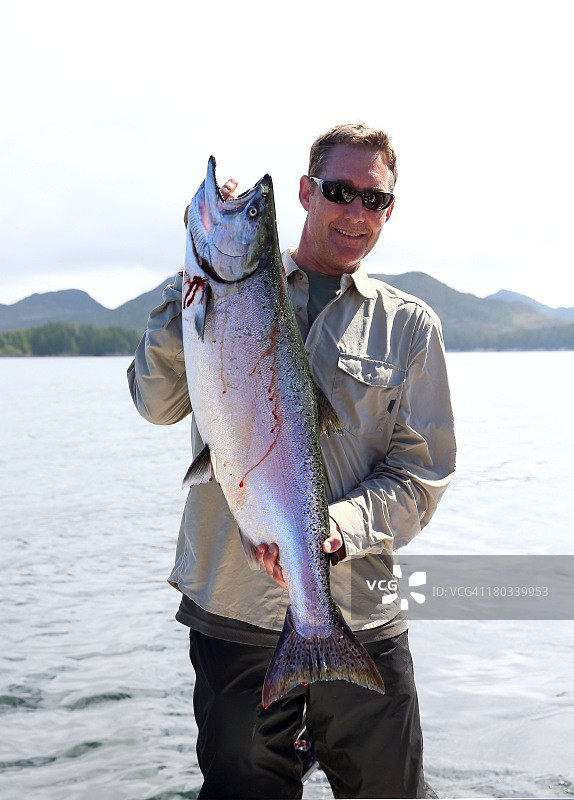 大型奇努克鲑鱼图片素材