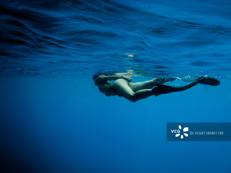 科西嘉岛水下场景图片素材