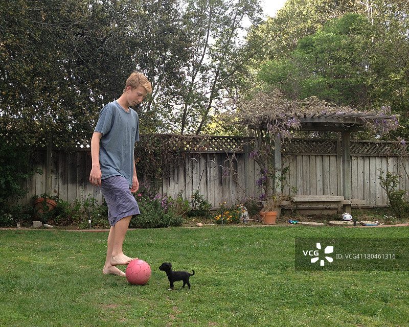 男孩和小狗图片素材