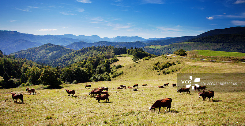 孚日山脉全景图片素材