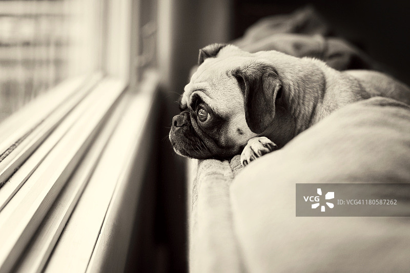 “重要的不是你看到什么……”图片素材