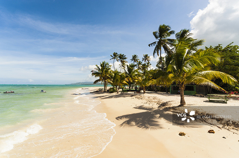 多巴哥鸽子角图片素材