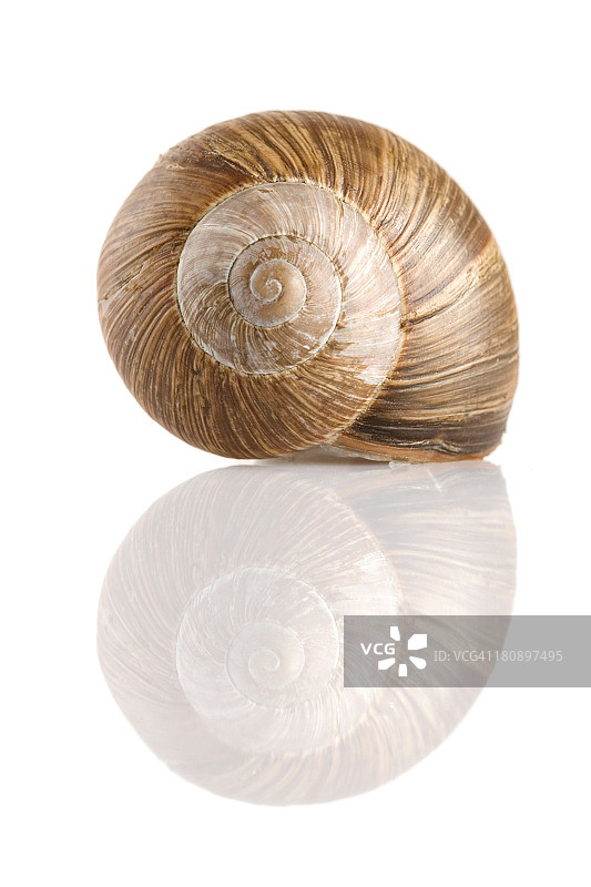 螺旋反射图片素材