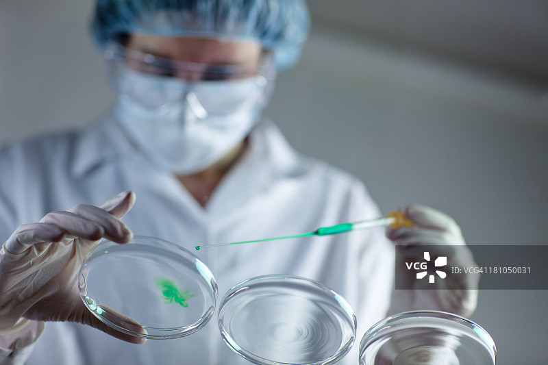 戴防护手套的研究员用移液器处理绿色液体图片素材