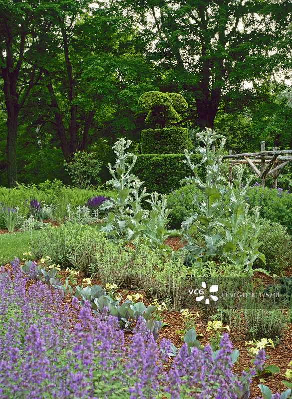 花园的细节图片素材