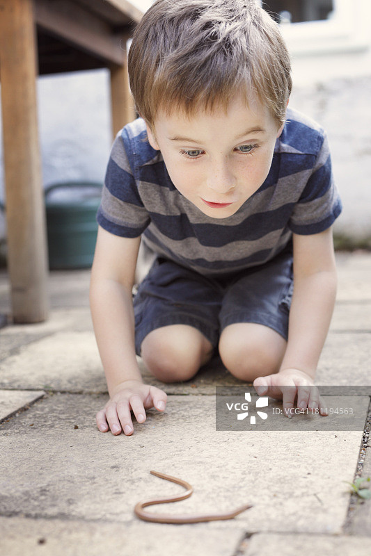 男孩对欧洲蛇蜥感到兴奋图片素材