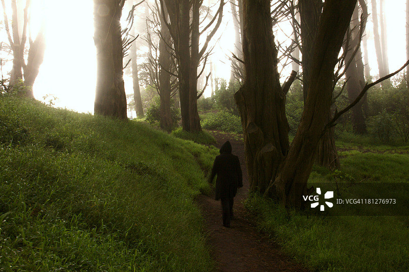 在雾木中行走的黑色兜帽人影图片素材