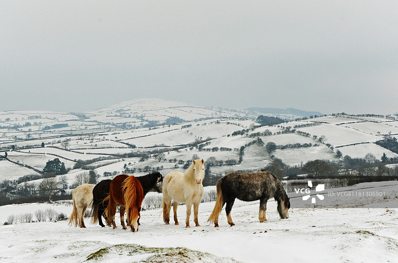 西威尔士的冬天图片素材