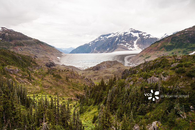 三文鱼冰川图片素材