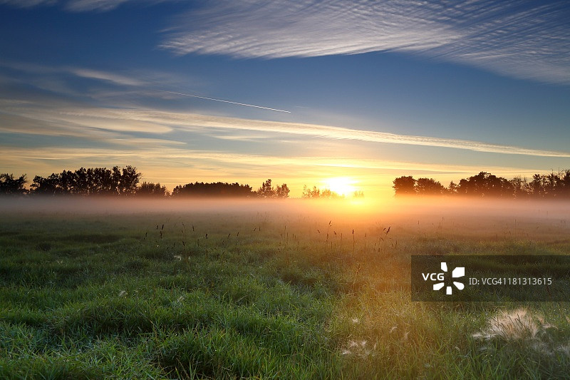 带露水的草地图片素材