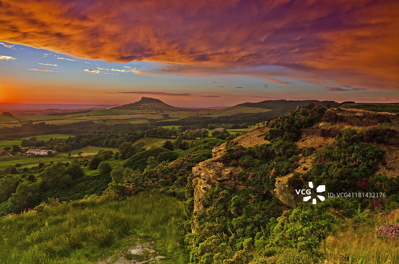 不同的配料图片素材