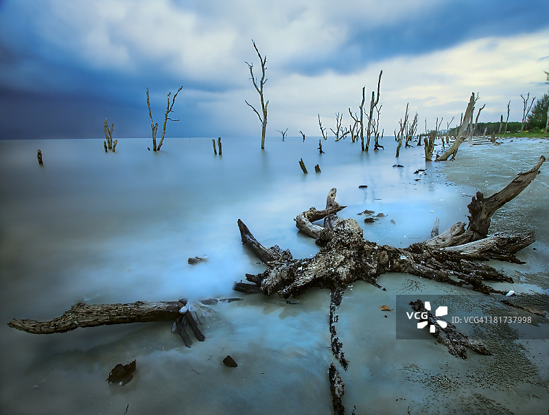 丹戎士拔彩色版图片素材