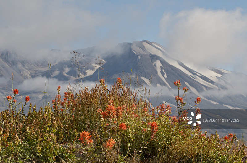 圣海伦斯火山图片素材
