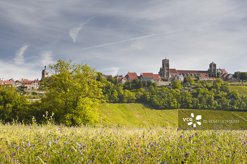 韦泽莱村庄下的花田图片素材