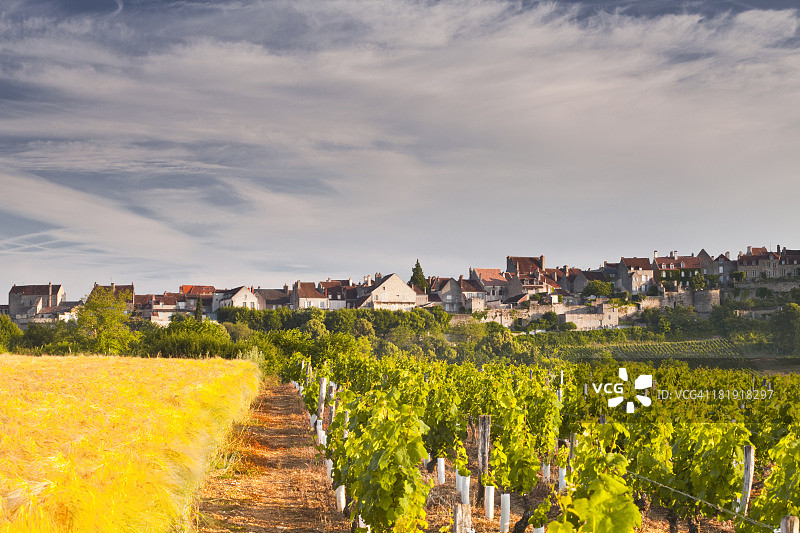 韦泽莱山顶村庄下的葡萄园图片素材