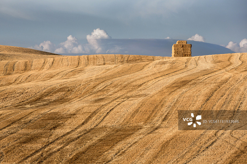 托斯卡纳田野里新打捆的干草图片素材