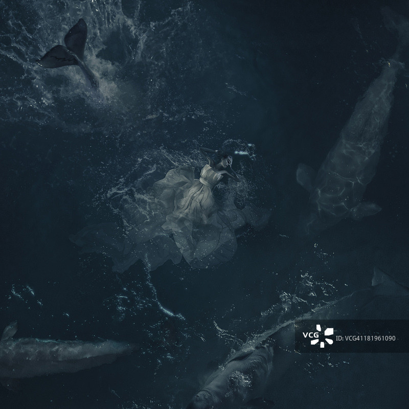 海洋深处的梦图片素材