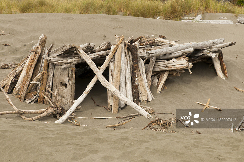 漂流木搭建的海滩遮阳棚图片素材