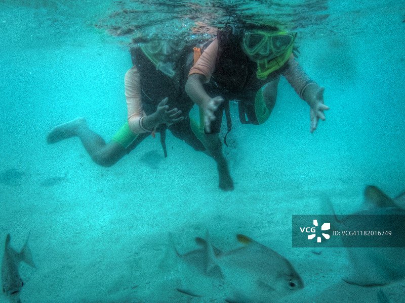 让我们试试抓住它们图片素材