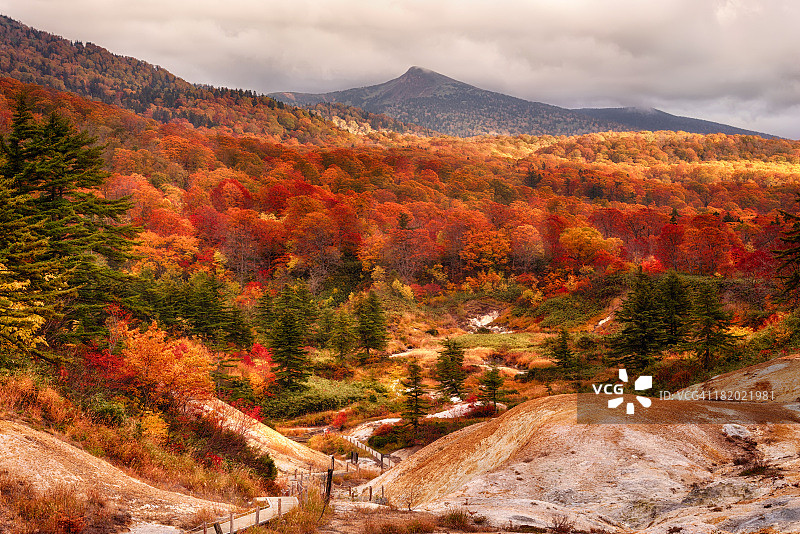 八幡平的后生挂温泉秋景图片素材