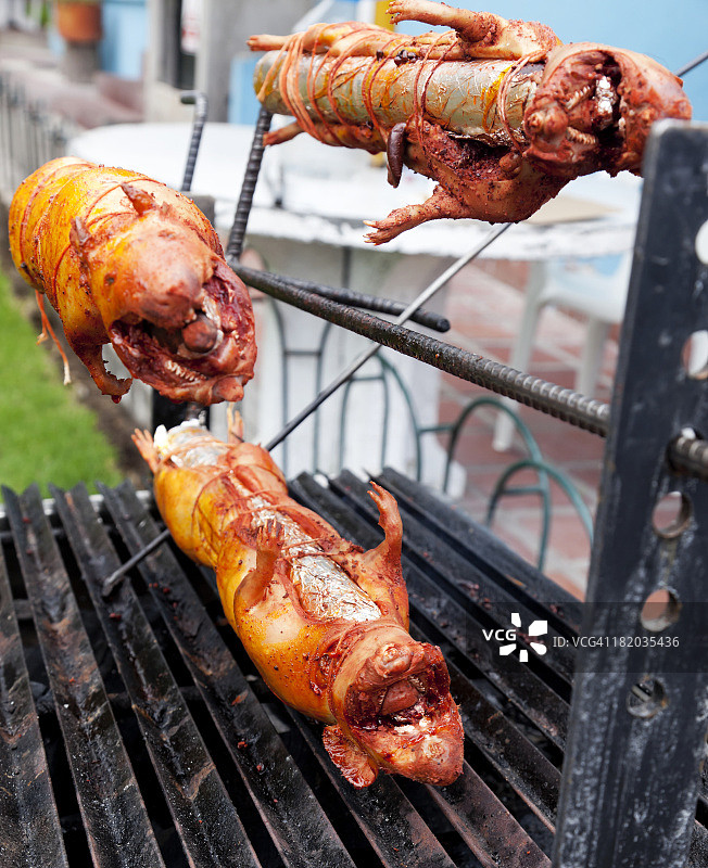 烤豚鼠图片素材