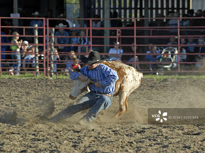 哇，小狗！图片素材