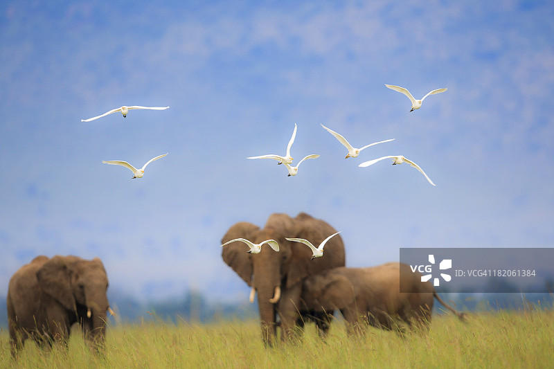 非洲风光图片素材