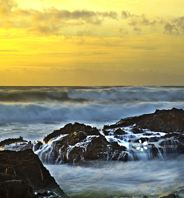 豆穴 3图片素材