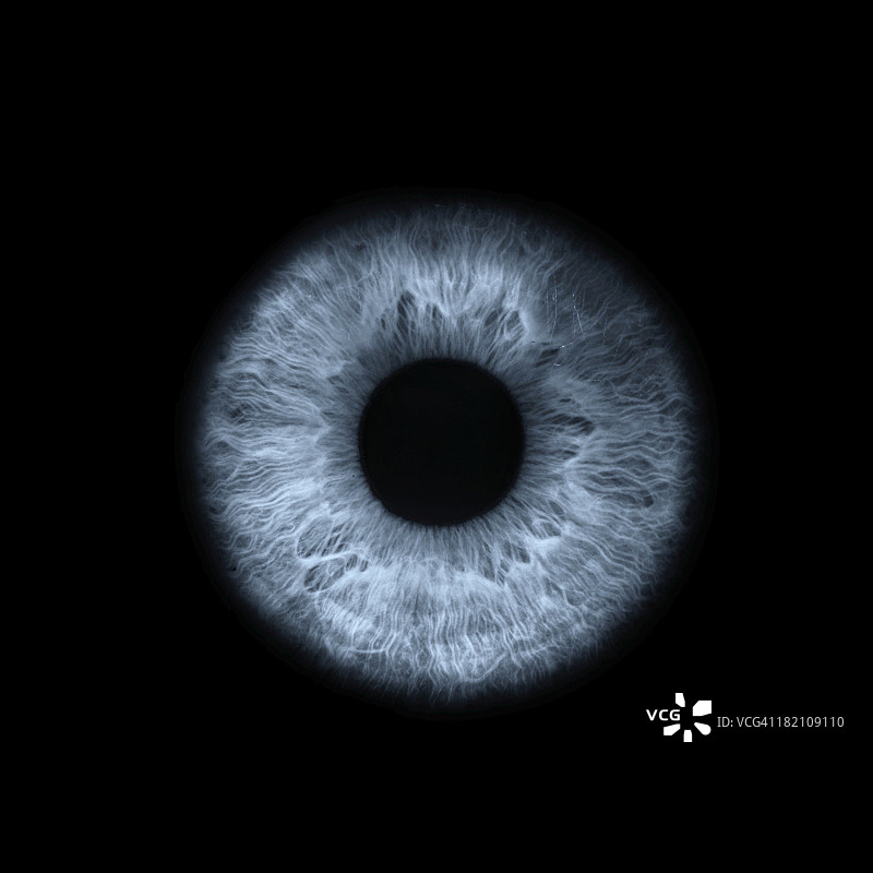 眼睛特写图片素材