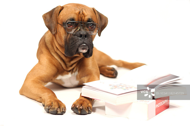 书本中间图片素材