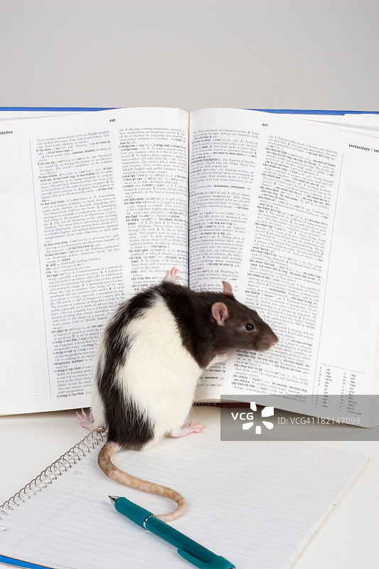 查阅词典图片素材