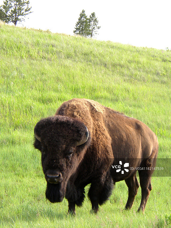 塔通卡面图片素材