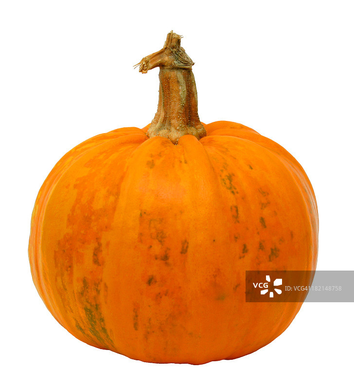 南瓜图片素材
