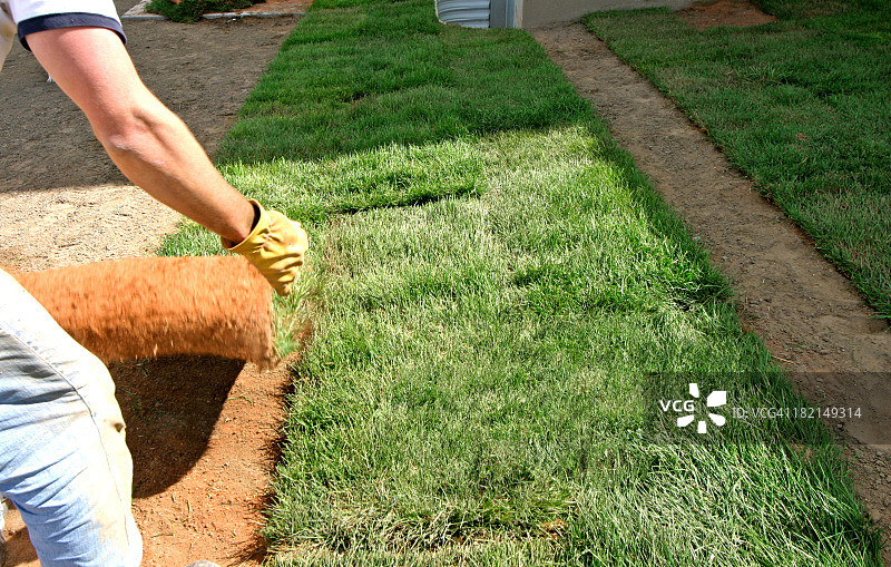 草皮景观图片素材