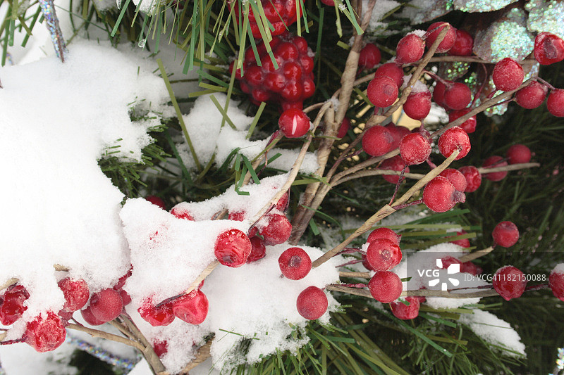 浆果与花环图片素材