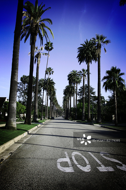比佛利山庄的棕榈树和晴朗的天空图片素材