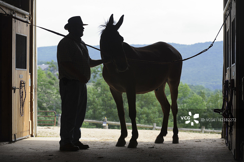 敞开的谷仓门中的男人和骡子剪影图片素材