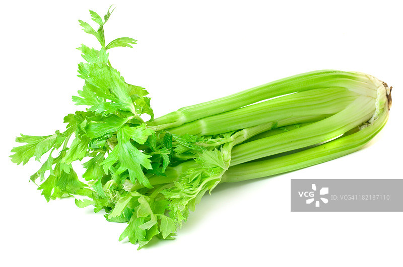 芹菜图片素材