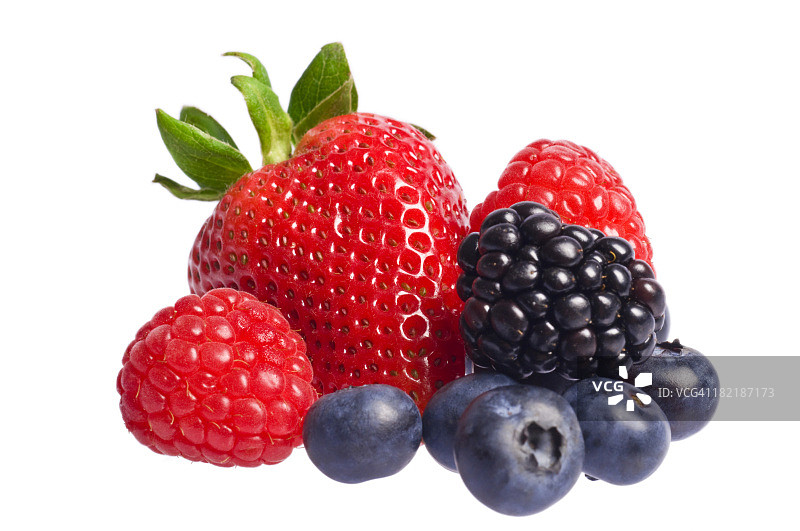 浆果图片素材