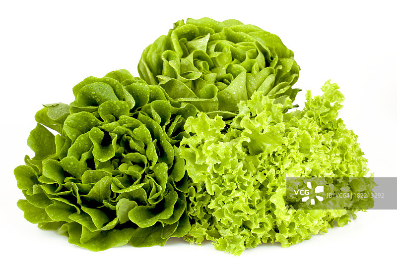 白色背景上的新鲜生菜特写镜头图片素材