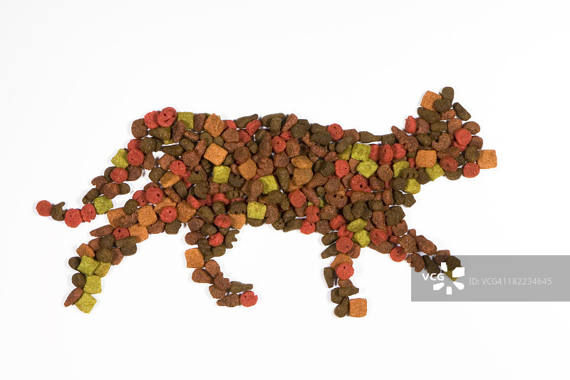 猫粮图片素材